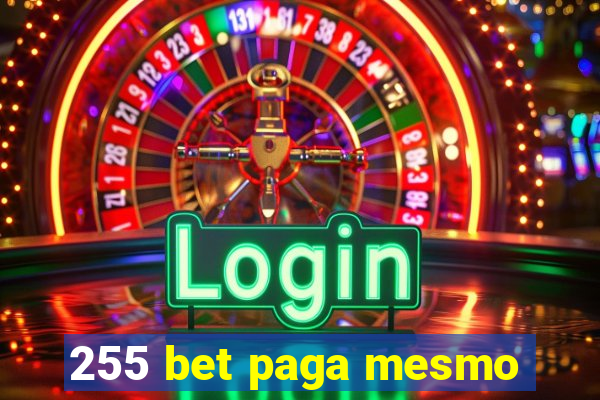 255 bet paga mesmo